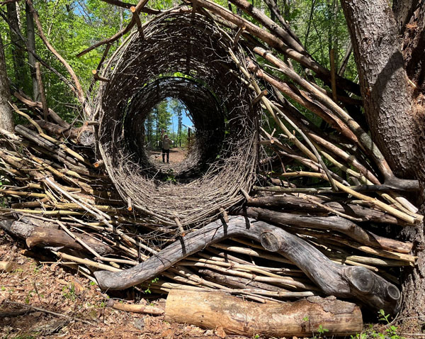 /online/TheHummData/listing media/Art-in-the-Garden(1).jpg